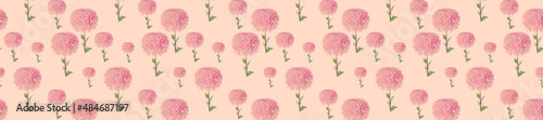 Panorama pattern of pink chrysanthemums on a pink background. © lms_lms