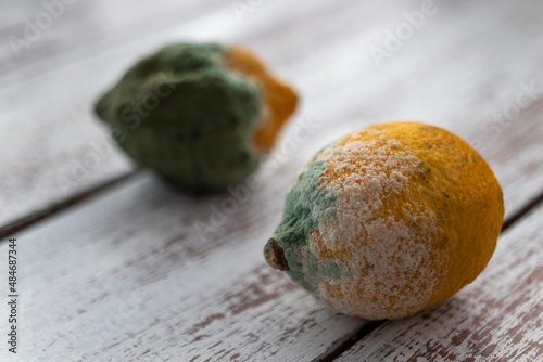 two moldy, decaying lemons. white background.
