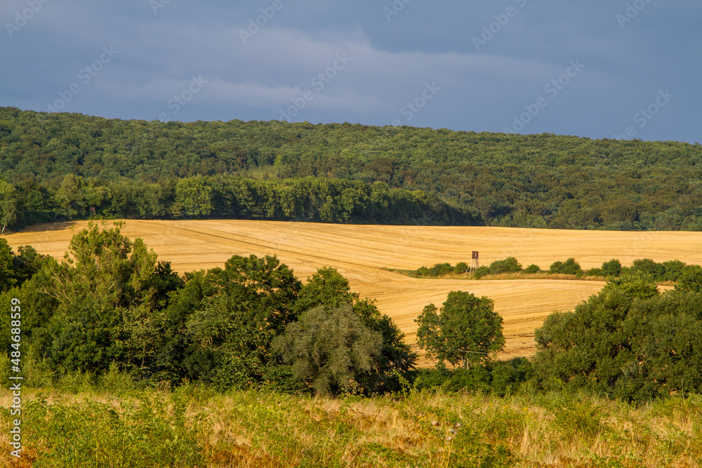 Blick in die Harzer Landschaft Blick in die Harzer Landschaft