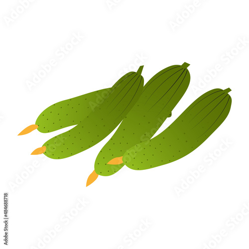 cucumber vector isolated, flat design on white background