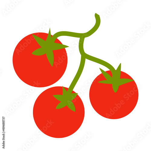 tomatoes vector isolated flat design on white background