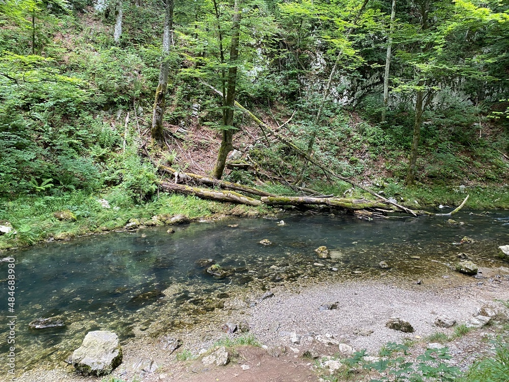 Obraz premium Protected landscape of the small river Kamacnik in Gorski kotar - Vrbovsko, Croatia (Zaštićeni krajolik rječice Kamačnik u Gorskom kotaru - Vrbovsko, Hrvatska)