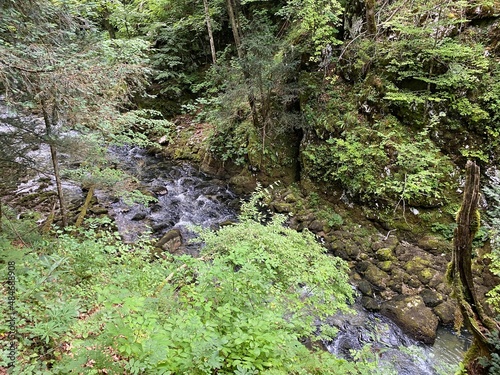 Protected landscape of the small river Kamacnik in Gorski kotar - Vrbovsko, Croatia (Zaštićeni krajolik rječice Kamačnik u Gorskom kotaru - Vrbovsko, Hrvatska) photo