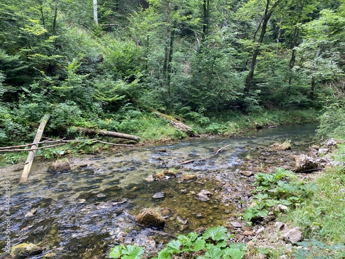 Protected landscape of the small river Kamacnik in Gorski kotar - Vrbovsko, Croatia (Zaštićeni krajolik rječice Kamačnik u Gorskom kotaru - Vrbovsko, Hrvatska) photo