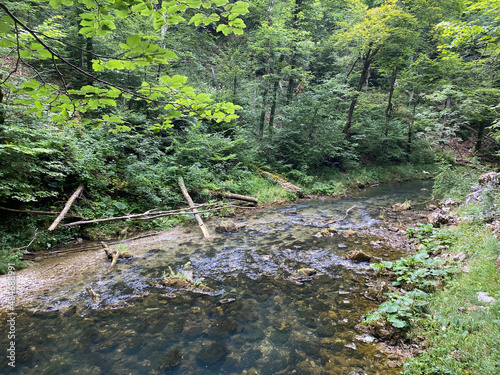 Protected landscape of the small river Kamacnik in Gorski kotar - Vrbovsko  Croatia  Za  ti  eni krajolik rje  ice Kama  nik u Gorskom kotaru - Vrbovsko  Hrvatska 
