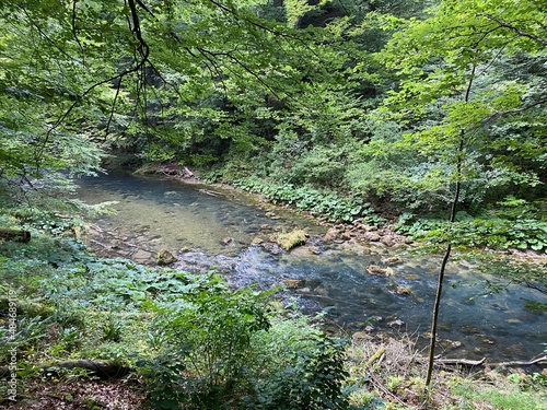 Protected landscape of the small river Kamacnik in Gorski kotar - Vrbovsko, Croatia (Zaštićeni krajolik rječice Kamačnik u Gorskom kotaru - Vrbovsko, Hrvatska) photo