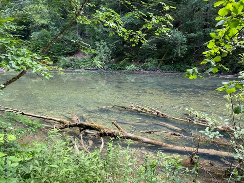 Protected landscape of the small river Kamacnik in Gorski kotar - Vrbovsko, Croatia (Zaštićeni krajolik rječice Kamačnik u Gorskom kotaru - Vrbovsko, Hrvatska) photo