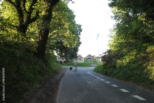 Grün im Hintergrund von Bildern aus Dänemark. Laubbäume bilden ein Spalier über den Sandwegen. Eine Straße, die die Siedlungen verbindet, erstreckt sich durch den Wald. Wiesen und Weiden. photo