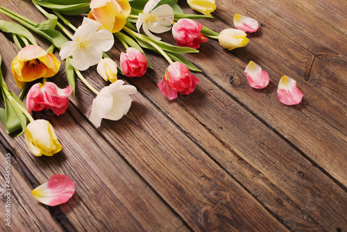 beautiful tulips on old dark wooden background