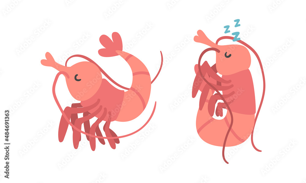 Shrimp Character as Aquatic Mammal with Funny Face Vector Illustration Set