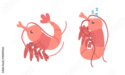 Shrimp Character as Aquatic Mammal with Funny Face Vector Illustration Set