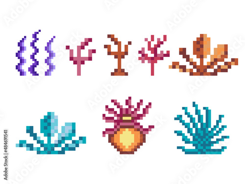 Obraz na płótnie Underwater Plants and Seaweeds in Pixel Art w salonie