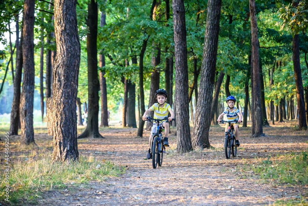 Fototapeta premium Two little boys children having fun on Balance Bike on a country road.