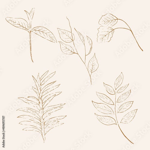 Set of hand-drawn vectors in the clean and modern line style