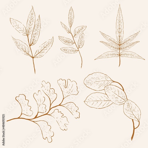 Set of hand-drawn vectors in the clean and modern line style