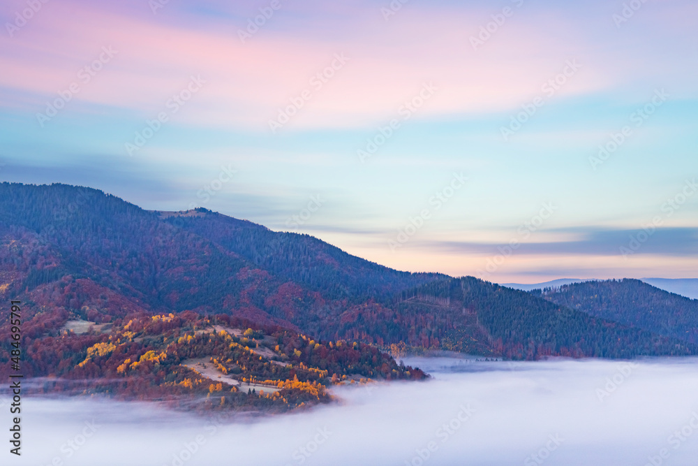 Hill with trees against gorge covered with fog in autumn