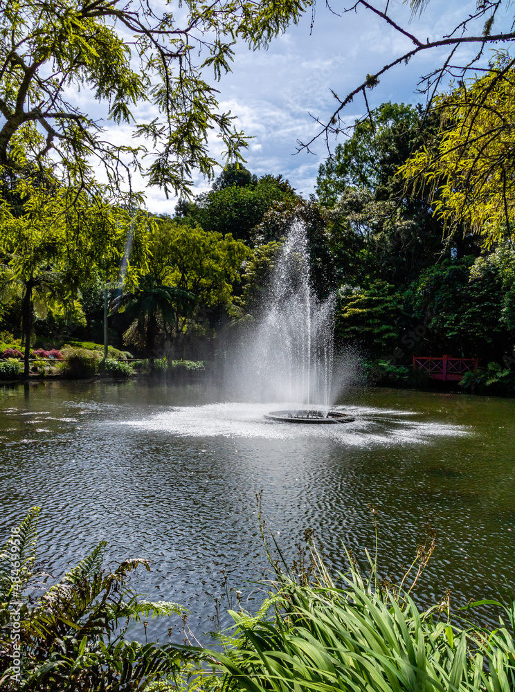The fountain in the middle of the lake. Pukekura Park, Taranaki, New Zealand