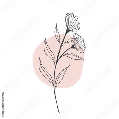 collection forest fern eucalyptus art foliage natural leaves herbs in line style. Decorative beauty, elegant illustration for design: Vector flower Botanical