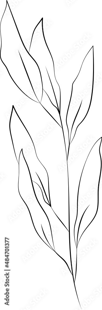 collection forest fern eucalyptus art foliage natural
leaves herbs in line style. Decorative beauty, elegant illustration
for design: Vector flower Botanical collection forest fern eucalyptus art foliage natural
leaves herbs in line style. Decorative beauty, elegant illustration
for design: Vector flower Botanical
