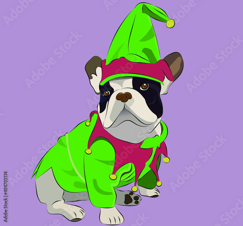 dog with christmas costume