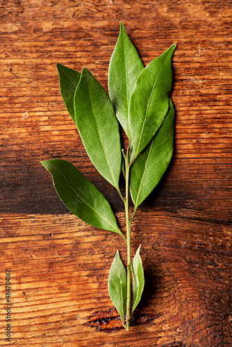 Bay leaves on a branch. Macro. Wooden background.