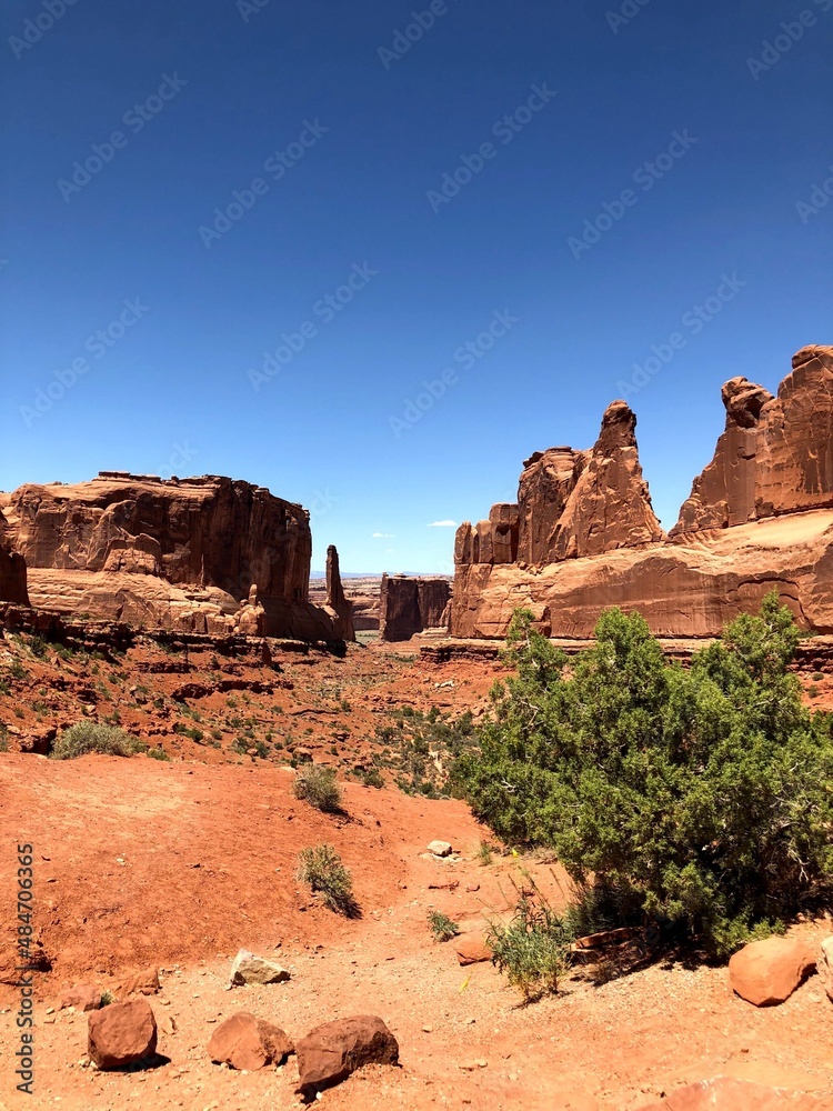 Fototapeta premium Views