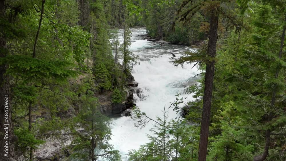 The Avalanche Gorge Creek in the Glacier National Park, Montana The Avalanche Gorge Creek in the Glacier National Park, Montana