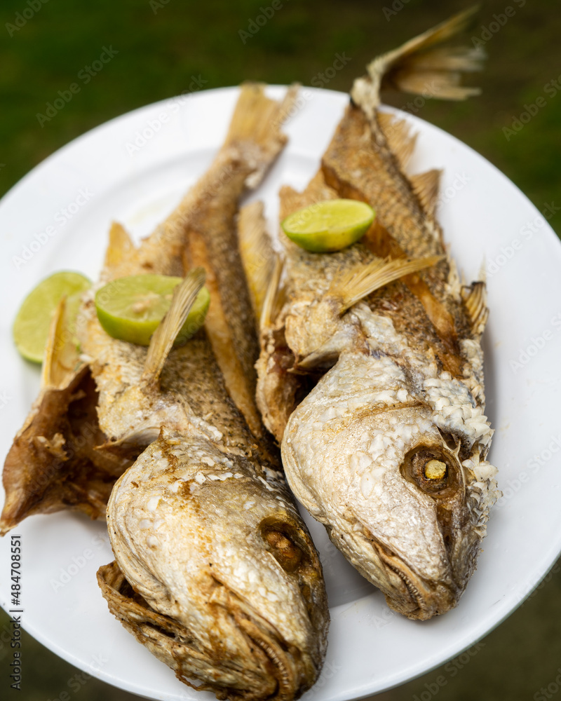 pescado frito, toston, comida tradicional de la costa colombiana, comida deliciosa, en platos blancos con fondos de madera. fideos a la pescadora, todo sobre la costa.