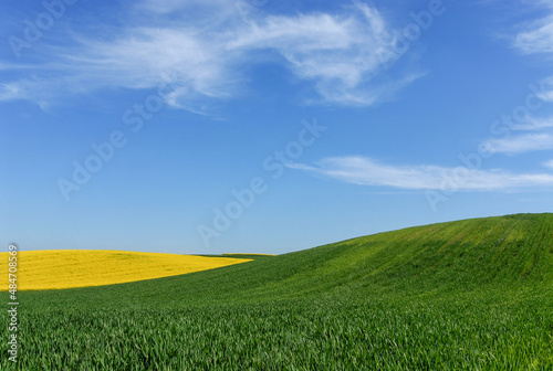 Green farmland, Landscape with arable fields, Poland