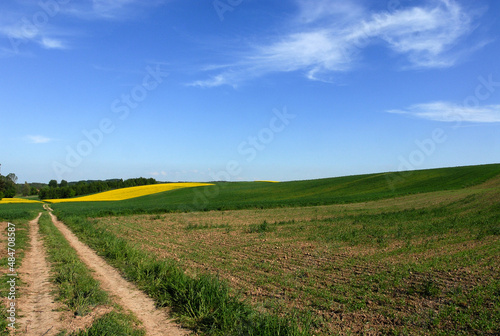 Unpaved road between fields  Poland