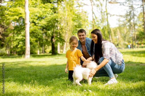 Happy family with cute bichon dog in the park © BGStock72