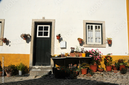 Fachada con flores, puera y ventana photo