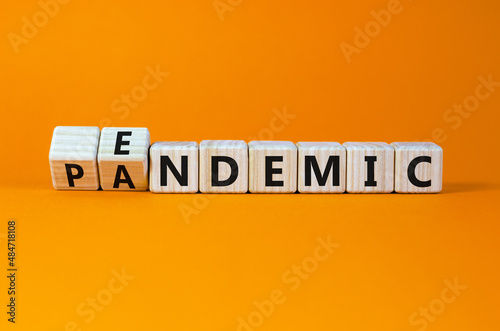 Covid-19 pandemic or endemic symbol. Turned wooden cubes and changed the concept word pandemic to endemic. Beautiful orange background copy space. Medical Covid-19 pandemic or endemic concept.