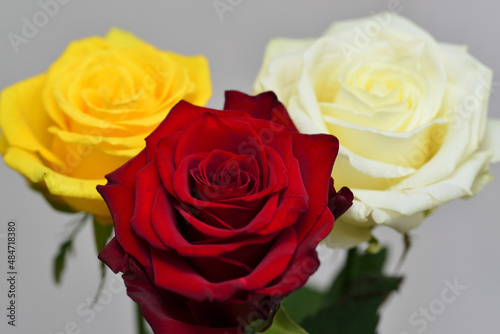 Red  yellow and white roses - bouquet