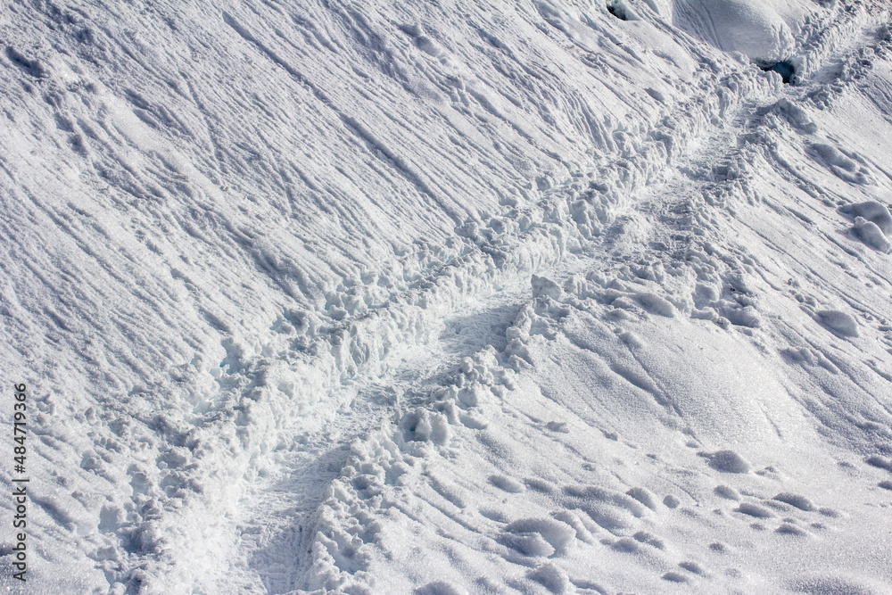 Snowy trails in Garibaldi Snowy trails in Garibaldi