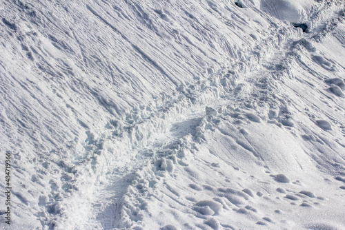 Snowy trails in Garibaldi © Jef