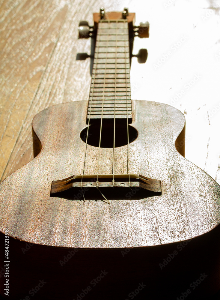 Fototapeta premium Ukelele