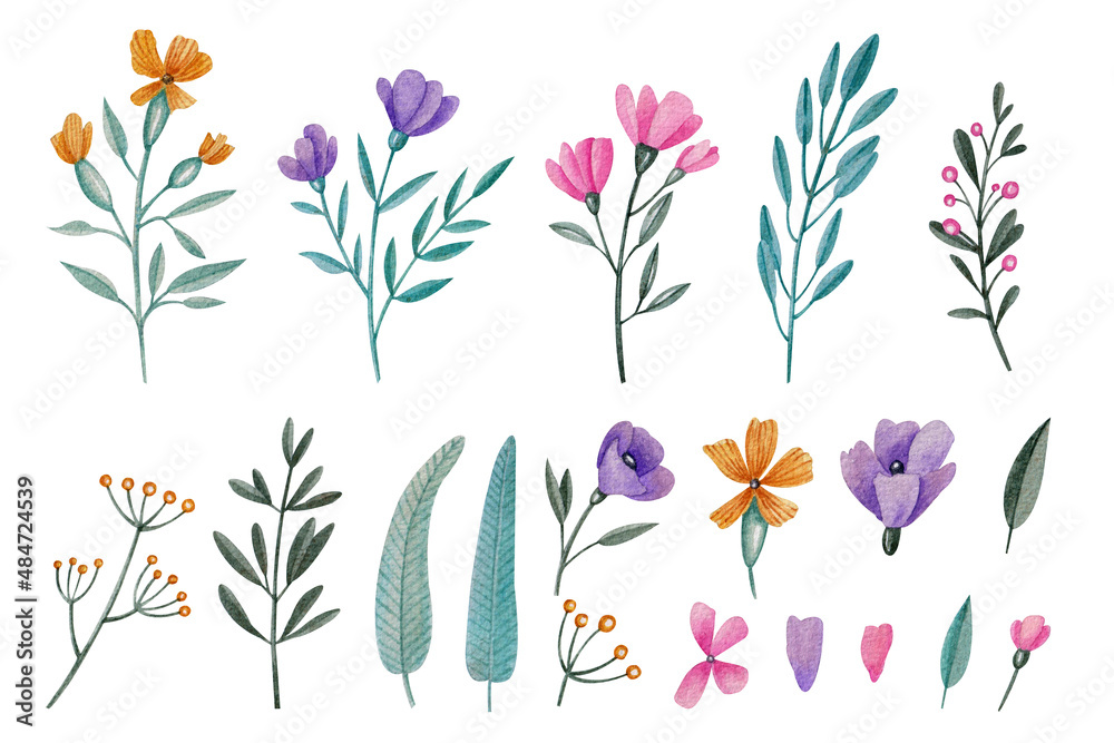 Set with flowers and plants. Watercolor illustration. Nature. Flora. Botanical. Summer. Garden. Decor. Blossom. Beautiful. Patterns. Print. Design. Spring. Pattern. Art. Leaves. Buds. Collection. 
