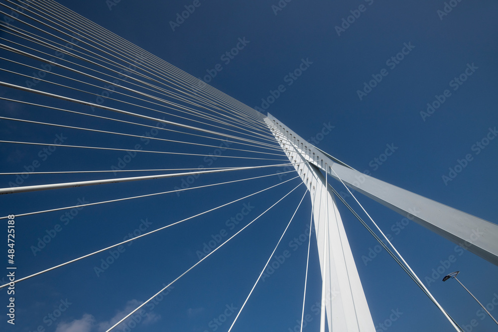 Obraz premium Erasmus Bridge in Rotterdam, the Netherlands