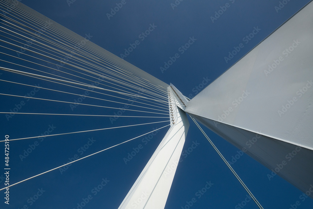 Erasmus Bridge in Rotterdam, the Netherlands Erasmus Bridge in Rotterdam, the Netherlands
