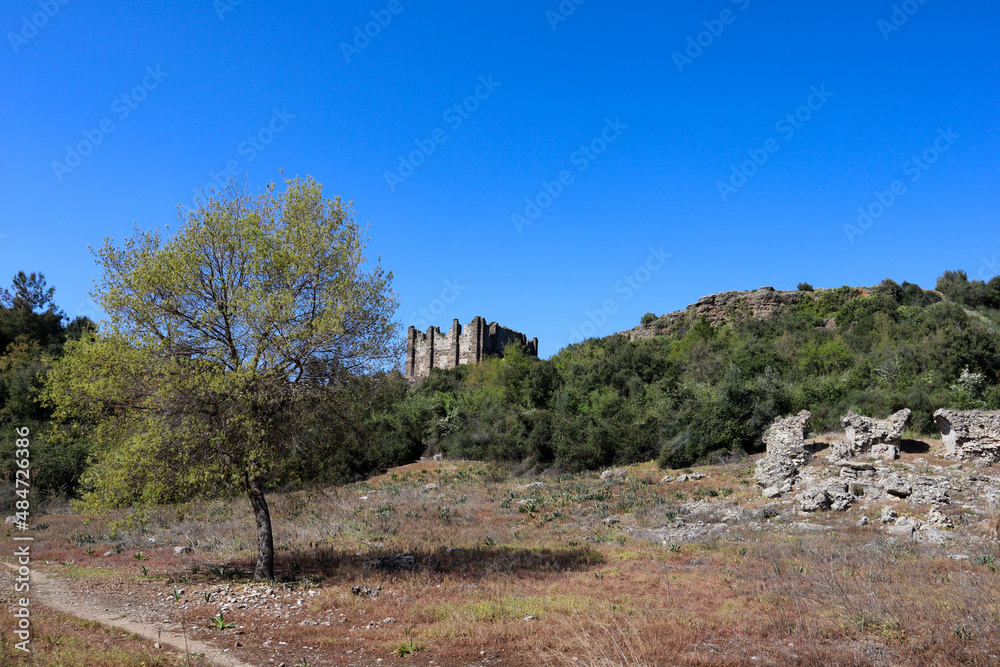 landscape with sky and clouds - tree on the ruins of ancient Aspendos, Turkey