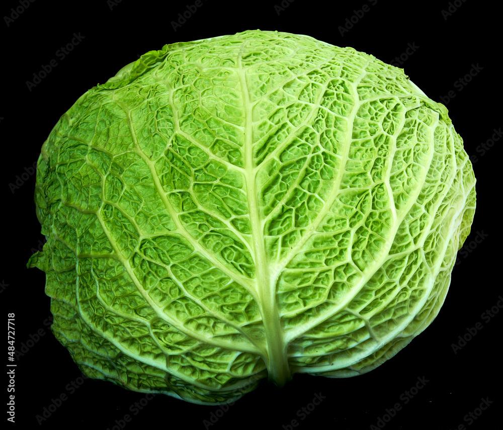 Fototapeta premium green cabbage lies on a black background