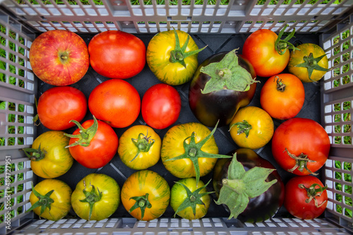 Foto Plastic rectangular shape basket with fresh harvest fruits, group of ripened red