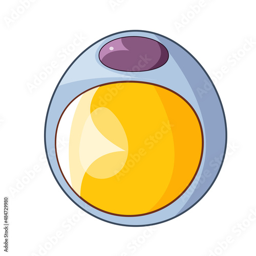 Simple White Adipocyte Structure with Monolocular Lipid Droplet, Detailed Vector Illustration on White Background for Biology, Medical Education, and Obesity Research. photo