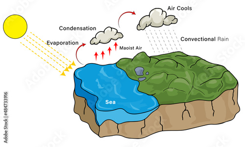 Atmospheric Water Cycle, Vector Illustration of Cloud Formation from Sea Evaporation and Convectional Rain on White Background for Educational and Meteorological Designs. photo