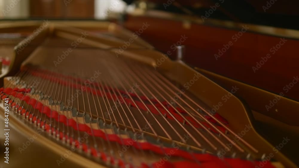 golden-colored grand piano lyre with strings golden-colored grand piano lyre with strings