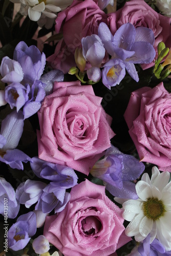 A bouquet of pink roses  white chamomile and blue freesias.