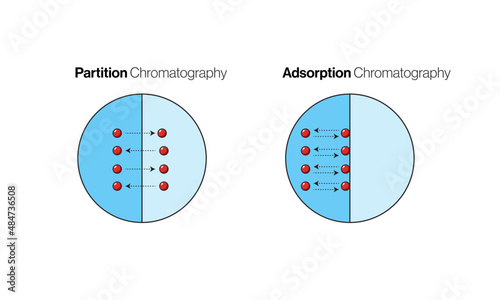 adsorption and absorption mechanism illustration in white background. 