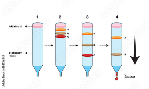 Isolated size exclusion chromatography illustration in white background.