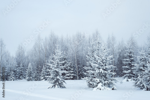 winter landscape snowy trees blue sky © shapovalphoto